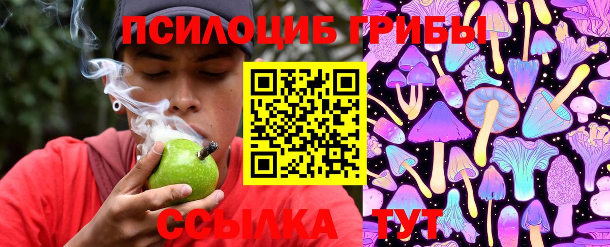 Шебекино  Галлюциногенные грибы MAGIC MUSHROOMS  Вход с VPN 